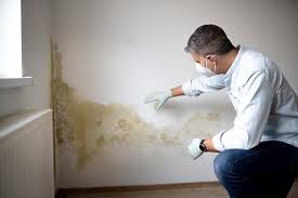 Forensic Mold Investigation in Saranap, CA